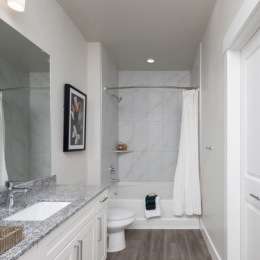 bathroom showing a tub, modern fixtures and wood-style flooring